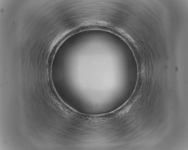 X0000070820877200607071714
