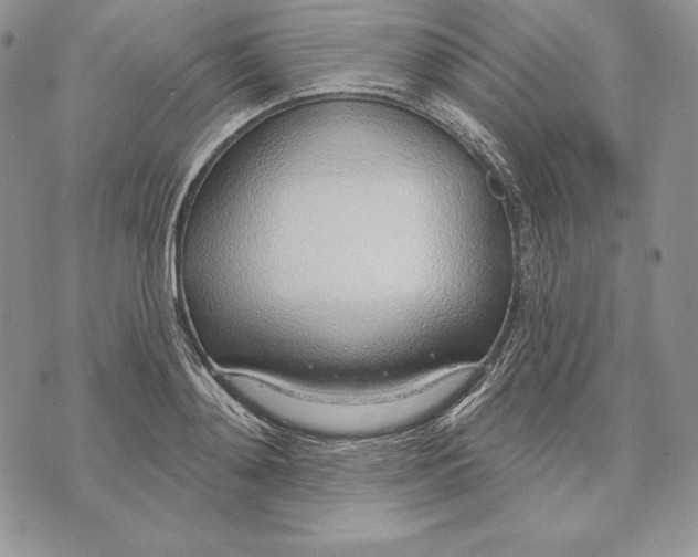 X0000070820892200607071713