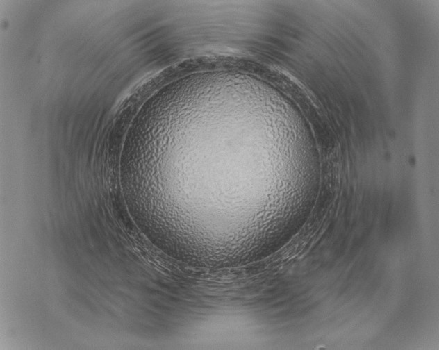 X0000070820919200607071712