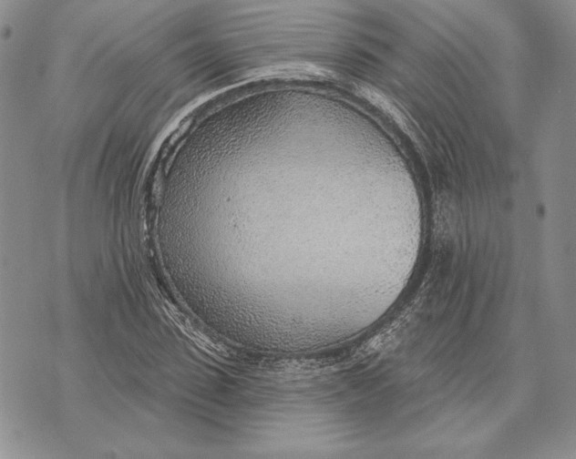X0000070820923200607071712