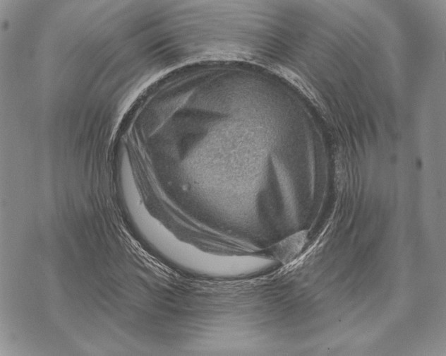 X0000070820926200607071712