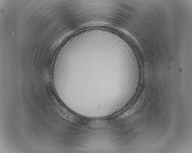 X0000070820929200607071713