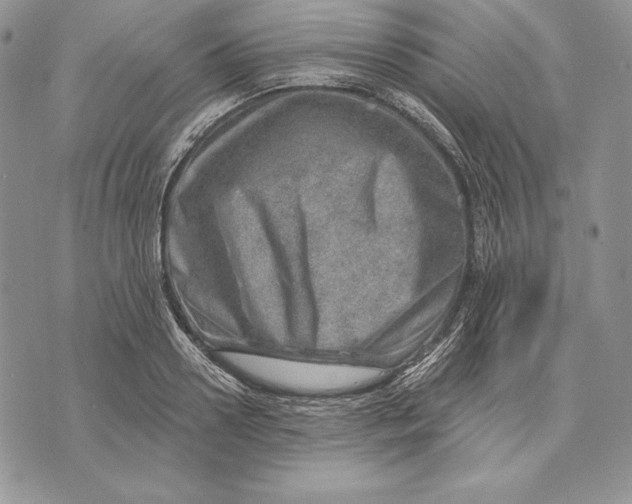 X0000070820938200607071713