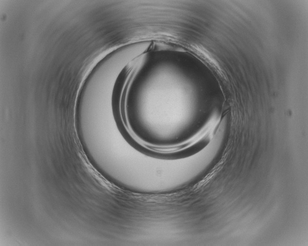 X0000070820940200607071713
