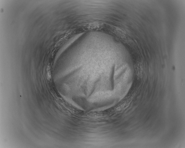 X0000070820962200607071712