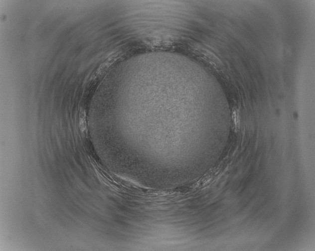 X0000070820963200607071712