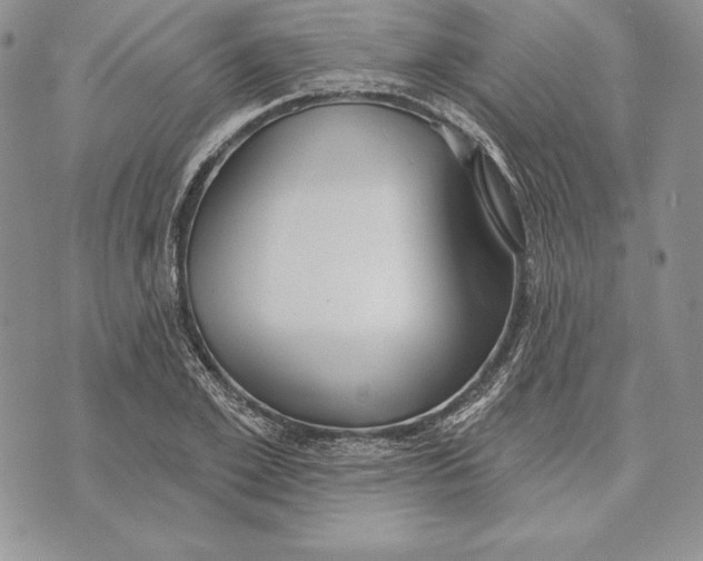 X0000070820981200607071712