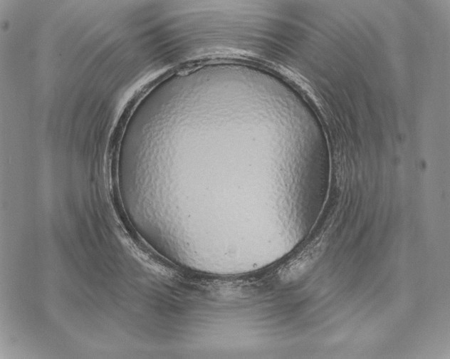 X0000070820987200607071712