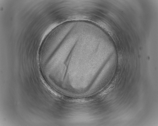 X0000070820990200607071712