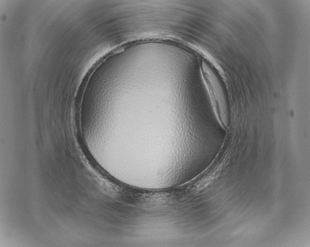 X0000070820991200607071712
