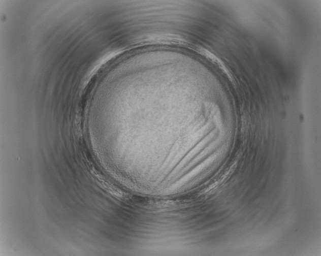 X0000070821019200607071711