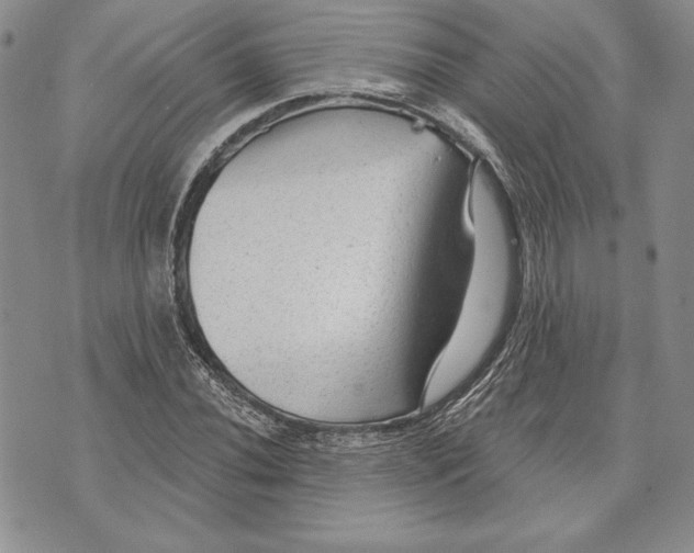 X0000070821020200607071711
