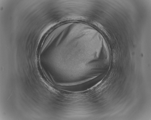 X0000070821024200607071711