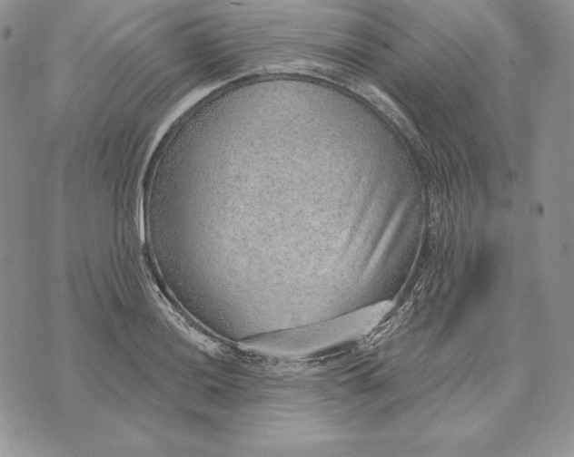 X0000070821036200607071711