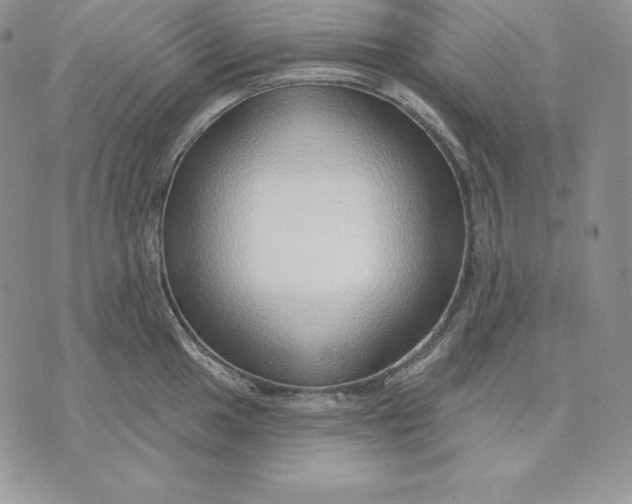 X0000070821049200607071711