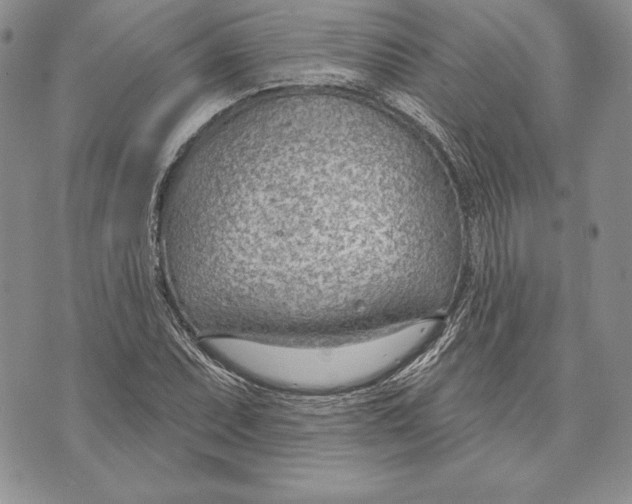 X0000070821071200607071710