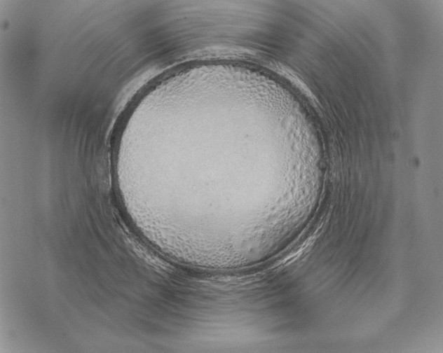 X0000070821075200607071710