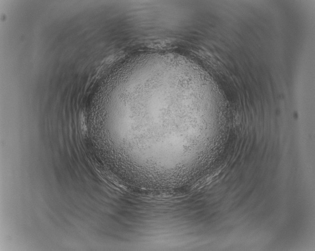 X0000070821106200607071709