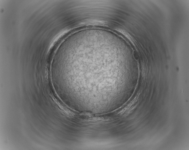 X0000070821115200607071709