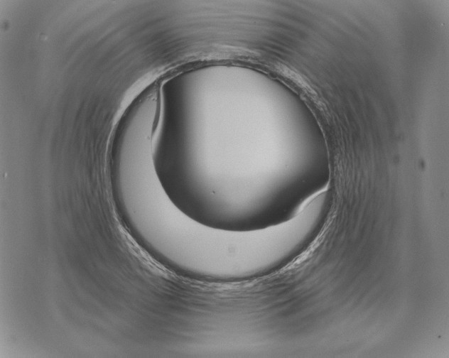X0000070821122200607071709