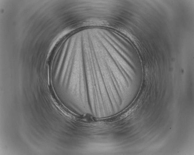X0000070821123200607071709