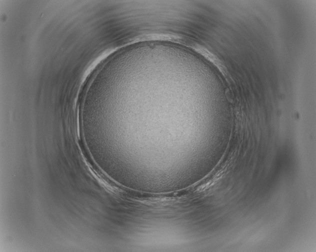 X0000070821127200607071709