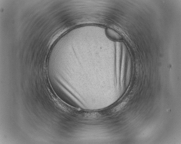X0000070821129200607071709