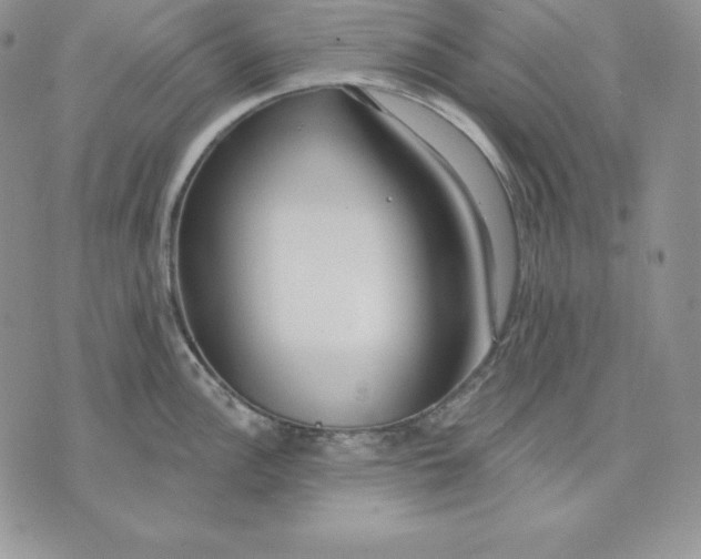 X0000070821148200607071710
