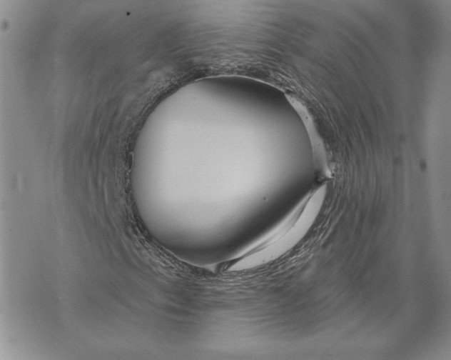 X0000070821153200607071709