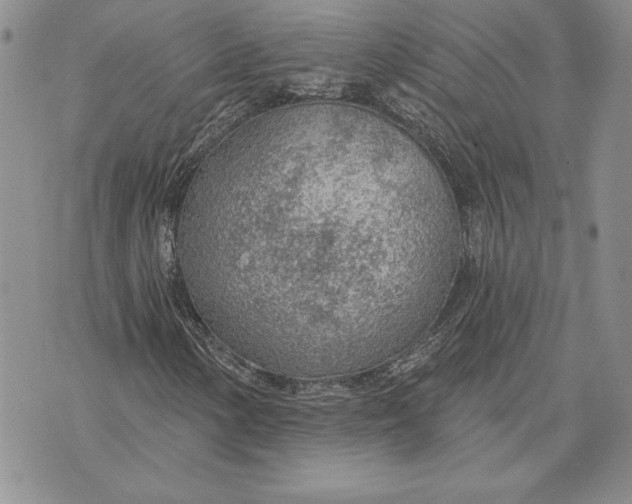X0000070821154200607071709