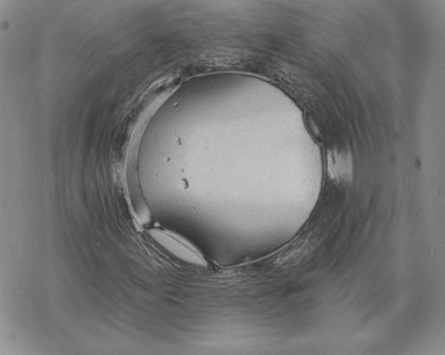 X0000070821155200607071709