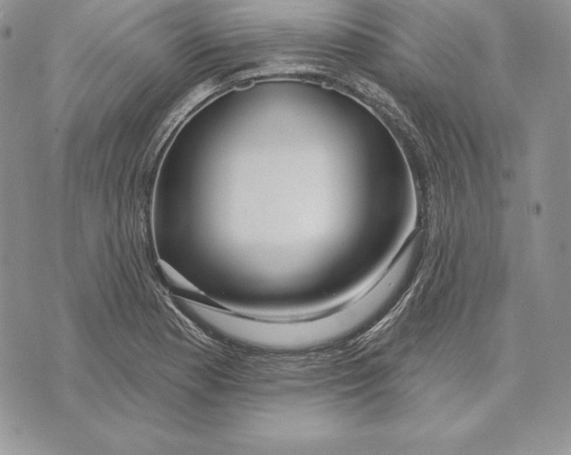 X0000070821177200607071709