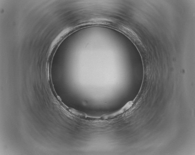 X0000070821180200607071709