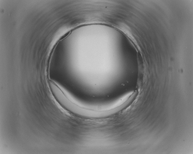 X0000070821197200607071708