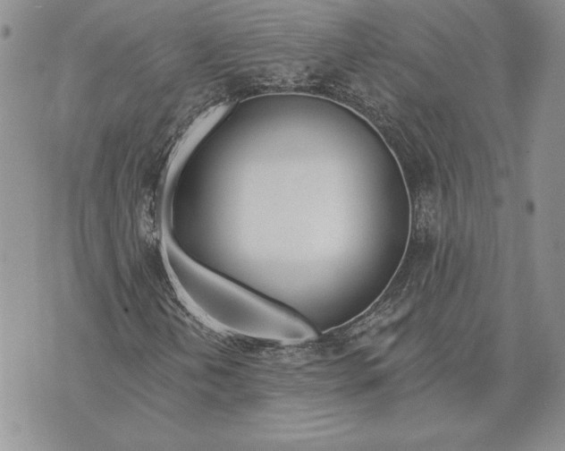 X0000070821202200607071708