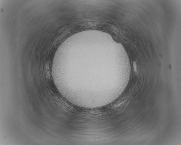 X0000070821203200607071708