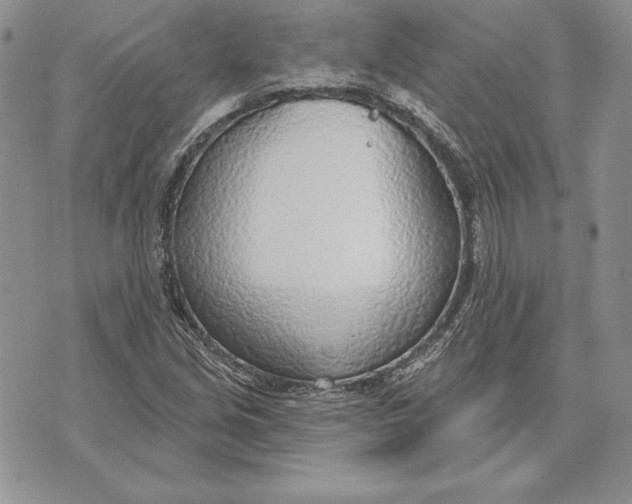 X0000070821213200607071708