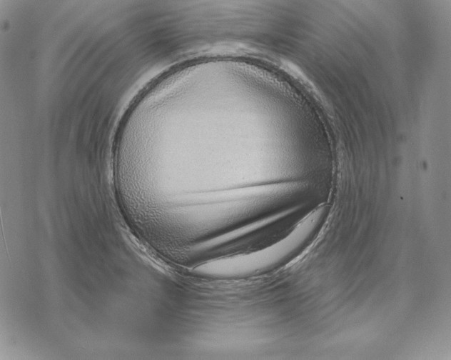X0000070821232200607071708