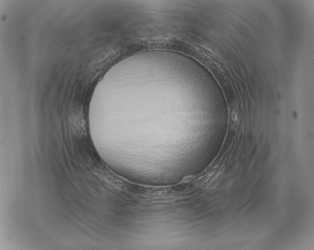 X0000070821252200607071707