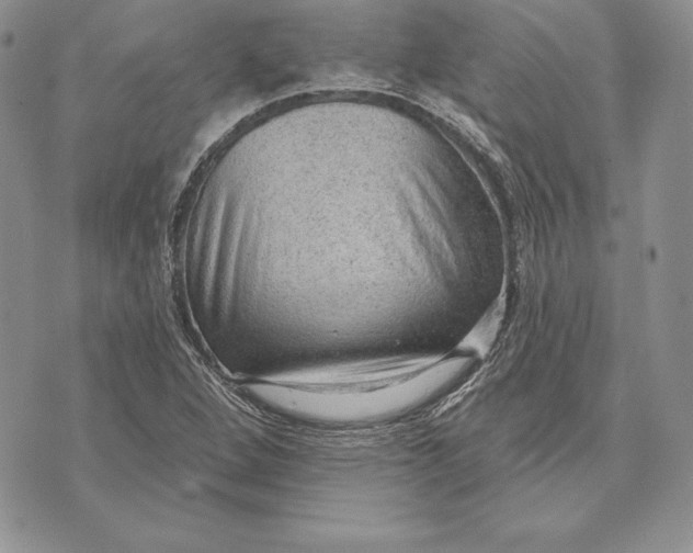 X0000070821264200607071707