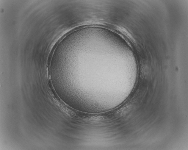 X0000070821268200607071707