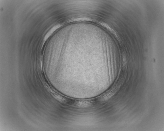 X0000070821274200607071707