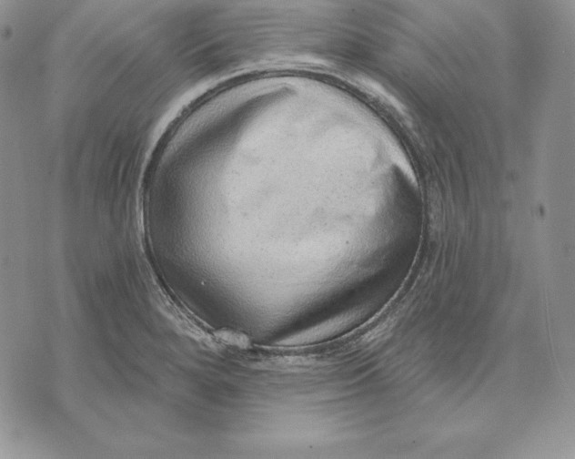 X0000070821280200607071707