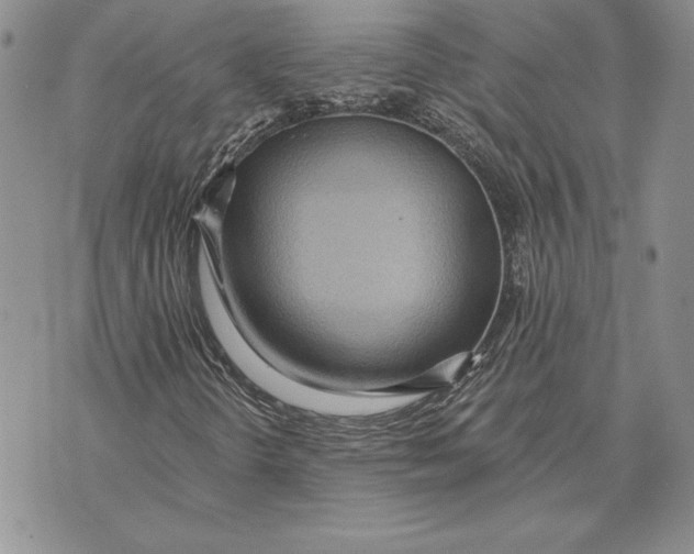 X0000070821298200607071706