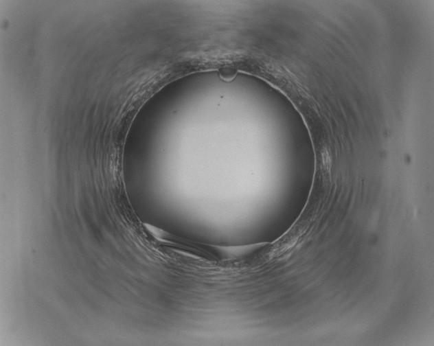 X0000070821300200607071706