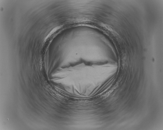 X0000070821306200607071706