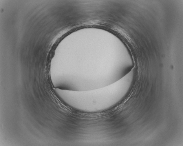 X0000070821308200607071706