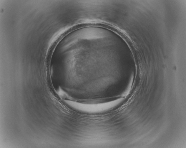 X0000070821319200607071706