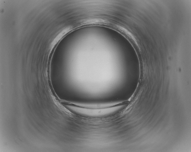 X0000070821330200607071707