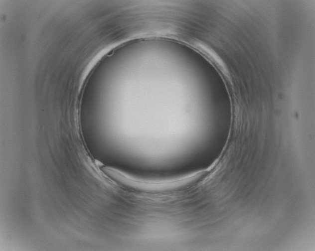 X0000070821340200607071707